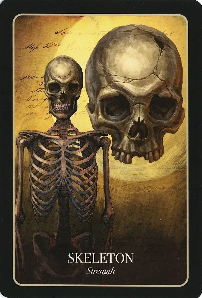 The Halloween Oracle Cards